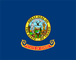 STATE NAME State Flag
